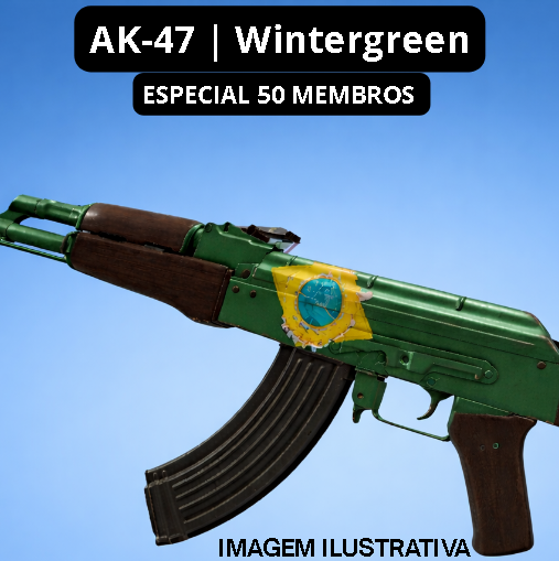 1504_AK-47 | Wintergreen (Minimal Wear) (Brasil)